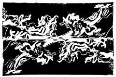 lichen-2-1