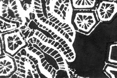 gravure-fossiles-selec