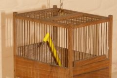 comment empêcher une écriture de chanter?